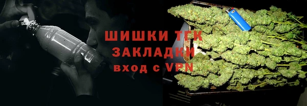 дживик Белокуриха