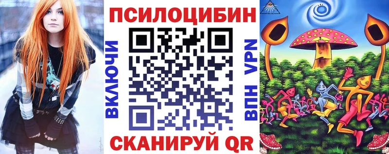 Псилоцибиновые грибы Psilocybine cubensis  Гусев 