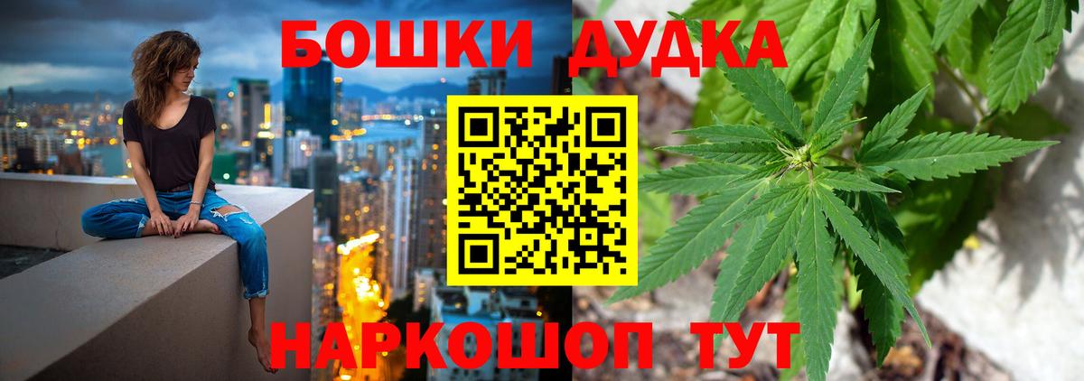Канабис сатива Гусев